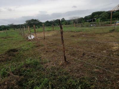 Lotes y fincas Ventas  Venta de Lote