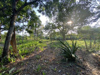 Lotes y fincas Ventas  Venta de terreno en Bayunca